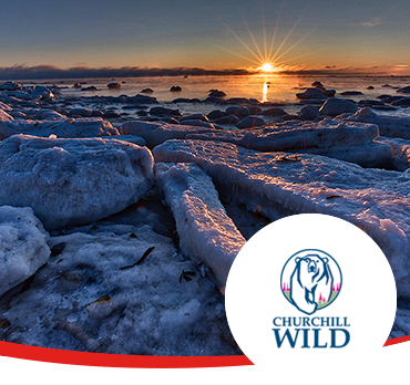 Cold Weather Wildlife And Polar Bear Photography. What to Wear.